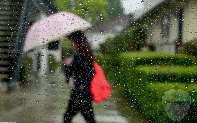 طقس غدًا.. أمطار خفيفة في القاهرة