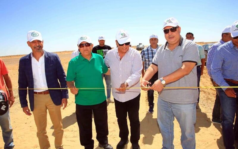 افتتاح أكبر مزرعة للإنتاج الزراعي والحيواني بأراضي مشروع الـ1.5 مليون فدان في واحة سيوة