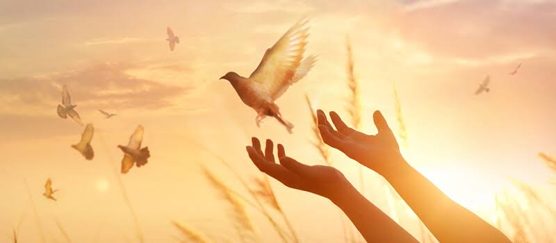 الفرق بين التسامح الحقيقي والمزيف