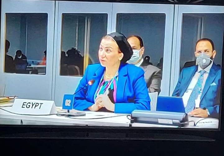 وزيرة البيئة: هناك حاجة ملحة إلى تمويل المناخ أكثر من أي وقت مضى لزيادة تكاليف التكيف في البلدان النامية