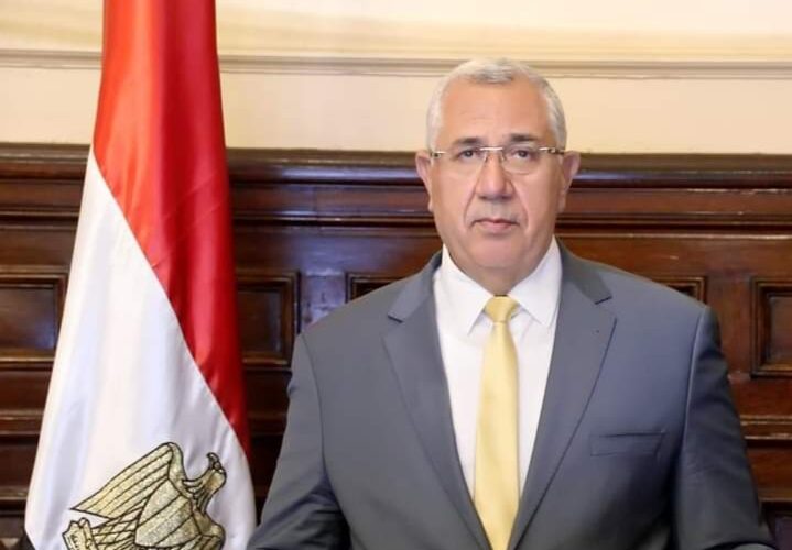 وزير الزراعة: تصدير 100 ألف طن رمّان مصري سنويا.. وتم فتح الأسواق الصينية أمامه