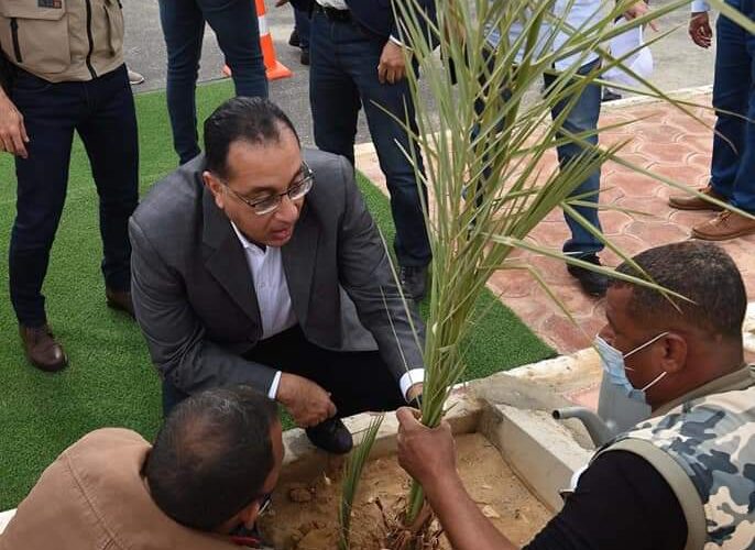 رئيس الوزراء يغرس فسيلة نخيل بحديقة 30 يونيو.. ضمن مبادرة «ازرع نخلة» بالوادي الجديد