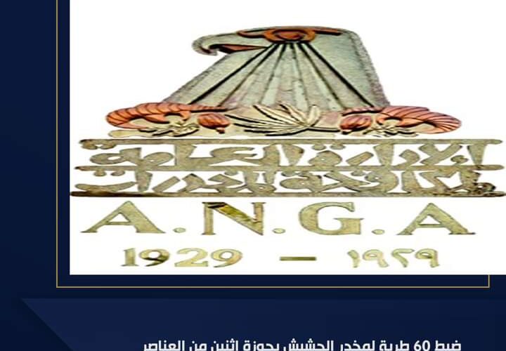 ضبط 60 طربة حشيش بحوزة اثنين من تجار المخدرات بالإسكندرية