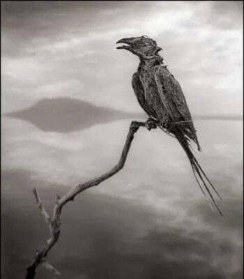 بحيرة النطرون تحنط كل من يمر عليها