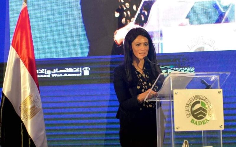 وزيرة التعاون الدولي: القطاع الخاص له دور محوري في تعزيز العلاقات بين الدول العربي وقارة أفريقيا