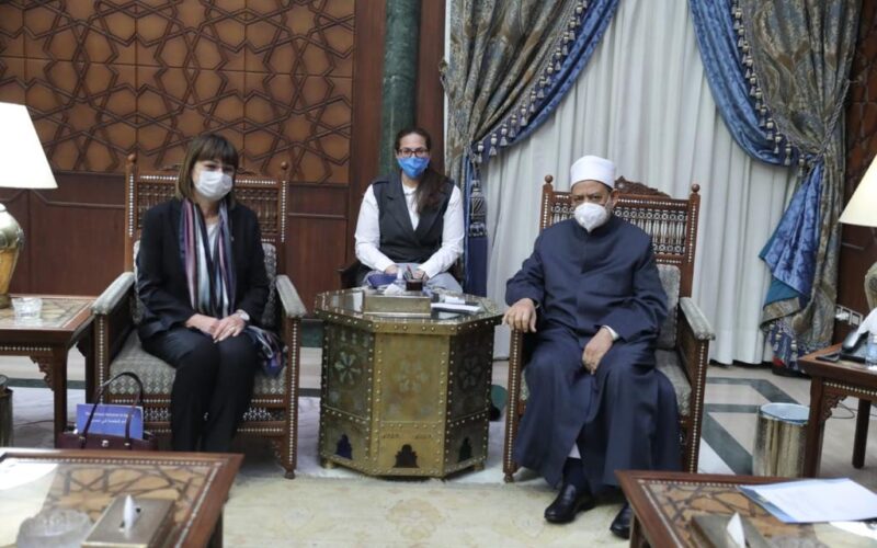 الإمام الأكبر: الحلول المقدمة من الغرب لمشكلاتنا تشوه ثقافتنا وتخلق صراعا جديدا