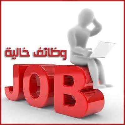 وزارة الشباب تعلن عن وظائف خالية.. تحت شعار مبادرة «توظيف مصر» 