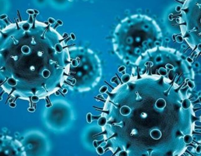 803 حالات إيجابية جديدة بفيروس كورونا .. و 42 حالة وفاة