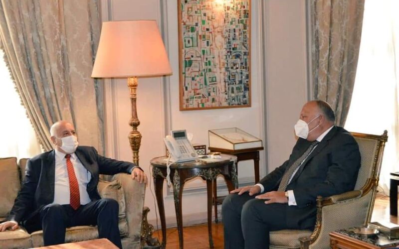 سامح شكري يستقبل جبريل الرجوب أمين سر اللجنة المركزية لحركة فتح 