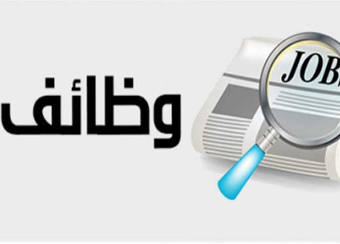 بالتعاون مع مؤسسة مصر كير.. وزارة الشباب والرياضة تعلن عن وظائف خالية