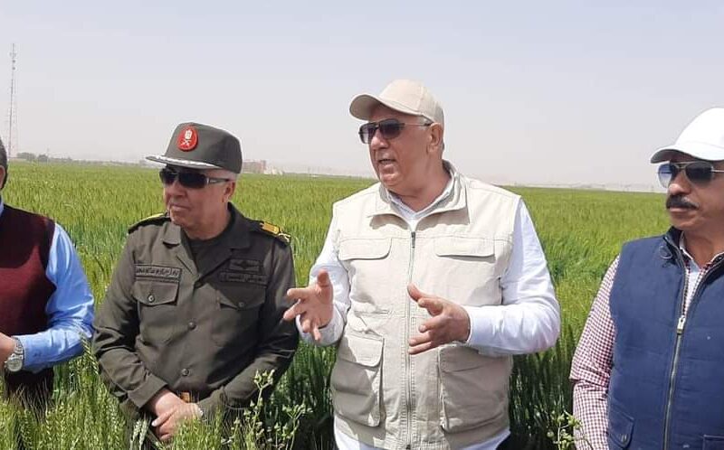 بعد تفقدة أحد حقول القمح بأسوان.. وزير الزراعة  يؤكد أن المحصول بخير والدولة تدعم الاستثمار الاجنبي