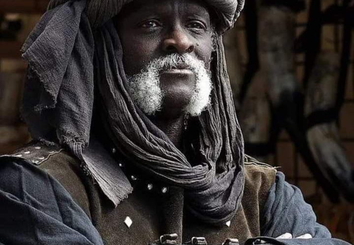 تعرف على السلطان المسلم الذي انتصر في 330 حرب و1000 معركة وقُتل بسهم غادر