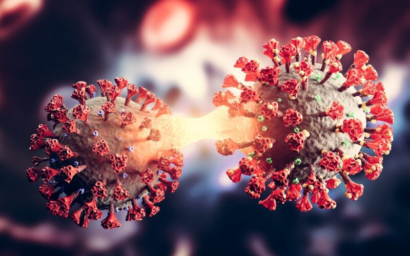 بعد ارتفاع عدد الإصابات به.. هل الإصابة السابقة بكوفيد-19 تحمي من متحوّر أوميكرون الجديد؟