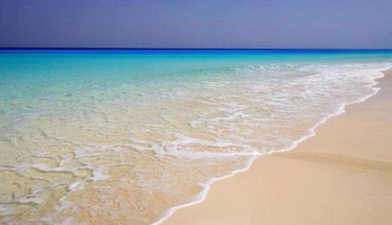 رواد السوشيال ميديا يتشاجرون.. أيهما أفضل الساحل الطيب أم الساحل الشرير؟