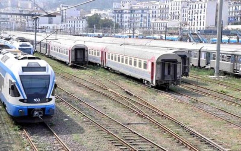 هذه الفئات تعفى من دفع ثمن تذكرة القطار.. كل التفاصيل عن خفض أسعار تذاكر القطارات