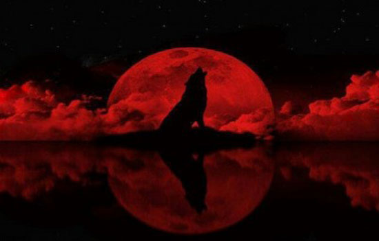 أنواع الخسوف.. «القمر الدموي» ظاهرة وقعت بين الحقيقة والخيال