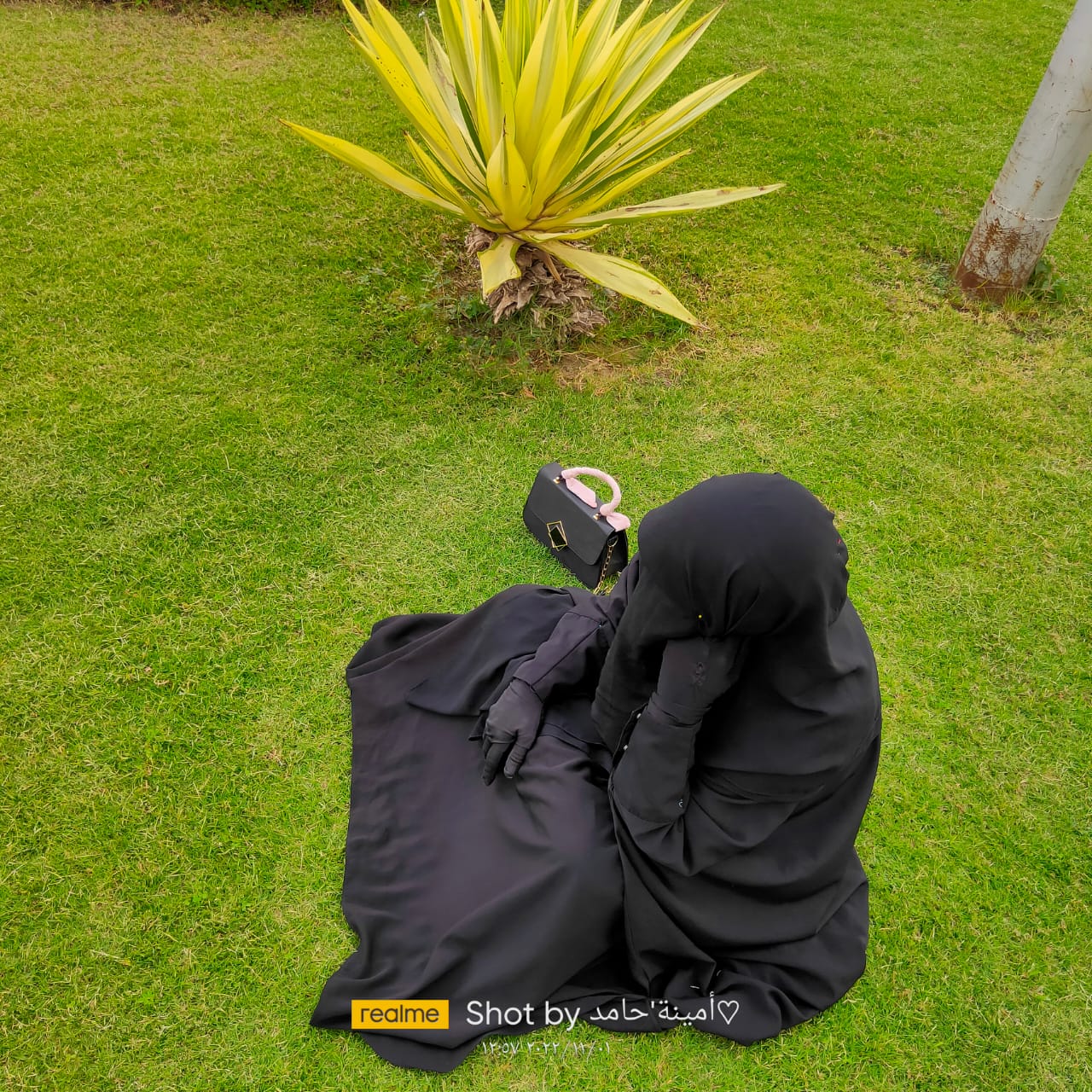 أمينة حامد