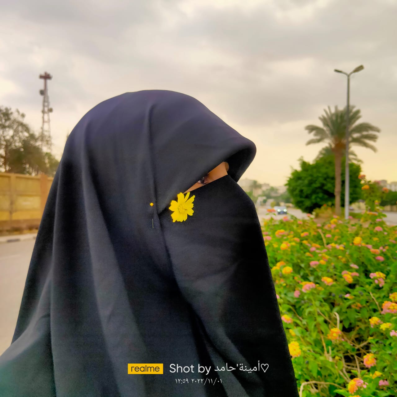أمينة حامد