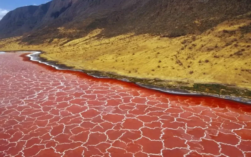 بحيرة النطرون.. بلون الدم.. تحنط كل من يمر عليها.. أهم 7 معلومات عنها