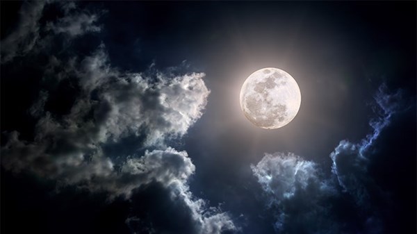 أهم 10 معلومات عن رسول الله في ذكرى المولد النبوي