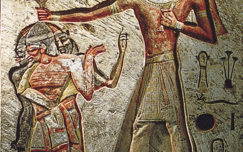 الجينوم يكذب شائعات الأفروسنترك داخل المتحف المصري.. فما القصة؟