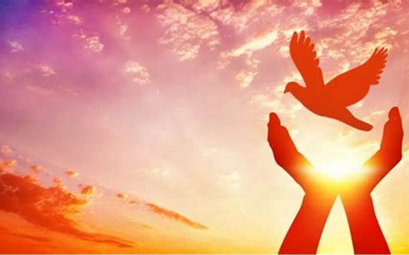 المولد النبوي.. 4 مواقف من حياة النبي توضح التسامح النبوي وأثره