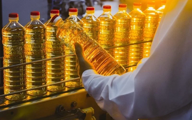 بعد انتشار مصانع إعادة تدويره.. 4 طرق للتحقق من جودة زيت الطعام