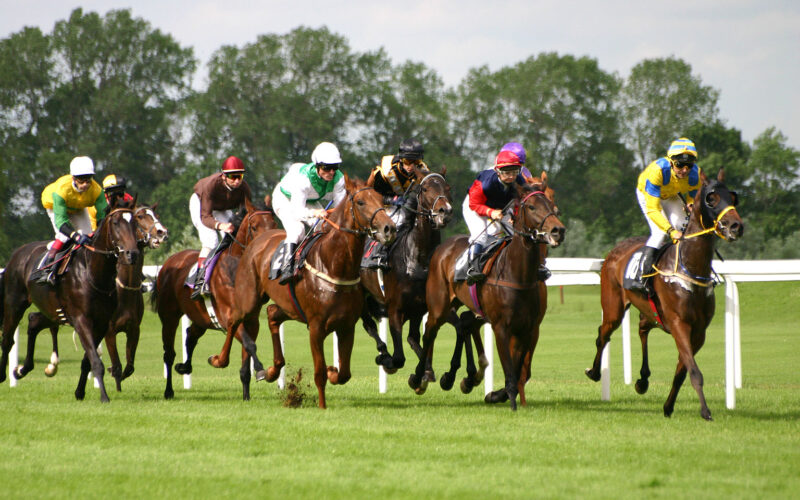 هل جوائز مسابقات الخيل حلال أم حرام؟